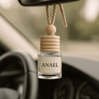car scent diffuser